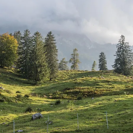 招待所 Vogtsmichelhof - Haupthaus 阿皮斯班奇
