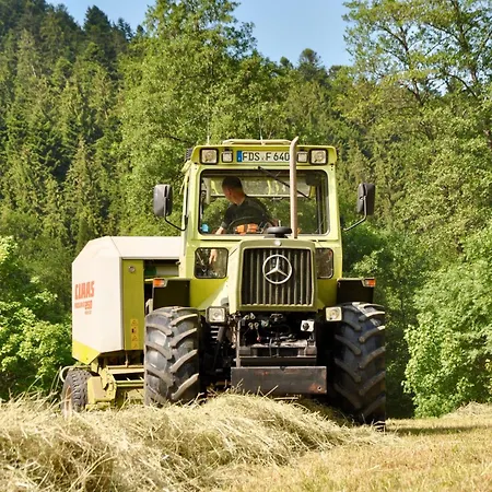 招待所 Vogtsmichelhof - Haupthaus