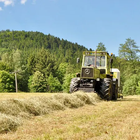 Vogtsmichelhof - Haupthaus Konukevi 3*