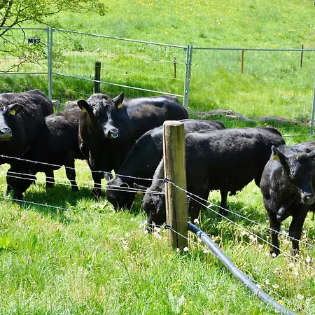 Vogtsmichelhof - Haupthaus Konukevi Alpirsbach
