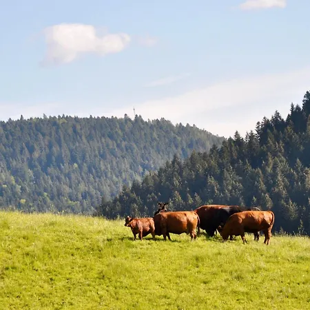 招待所 Vogtsmichelhof - Haupthaus