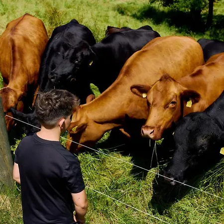 招待所 Vogtsmichelhof - Haupthaus 3*