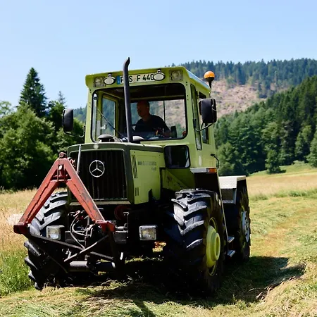 Vogtsmichelhof - Haupthaus