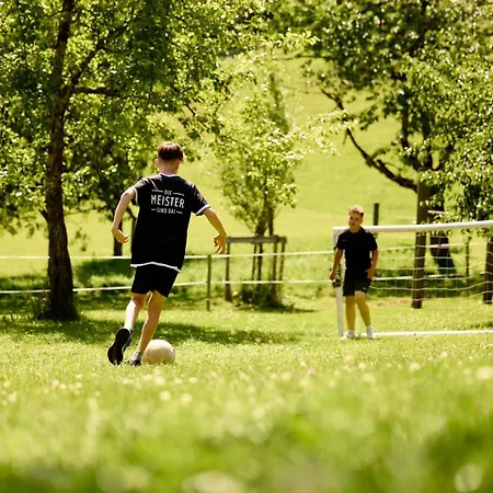 Vogtsmichelhof - Haupthaus 招待所 阿皮斯班奇