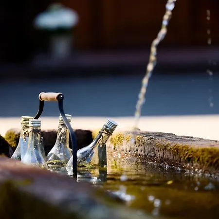 招待所 Vogtsmichelhof - Haupthaus 阿皮斯班奇